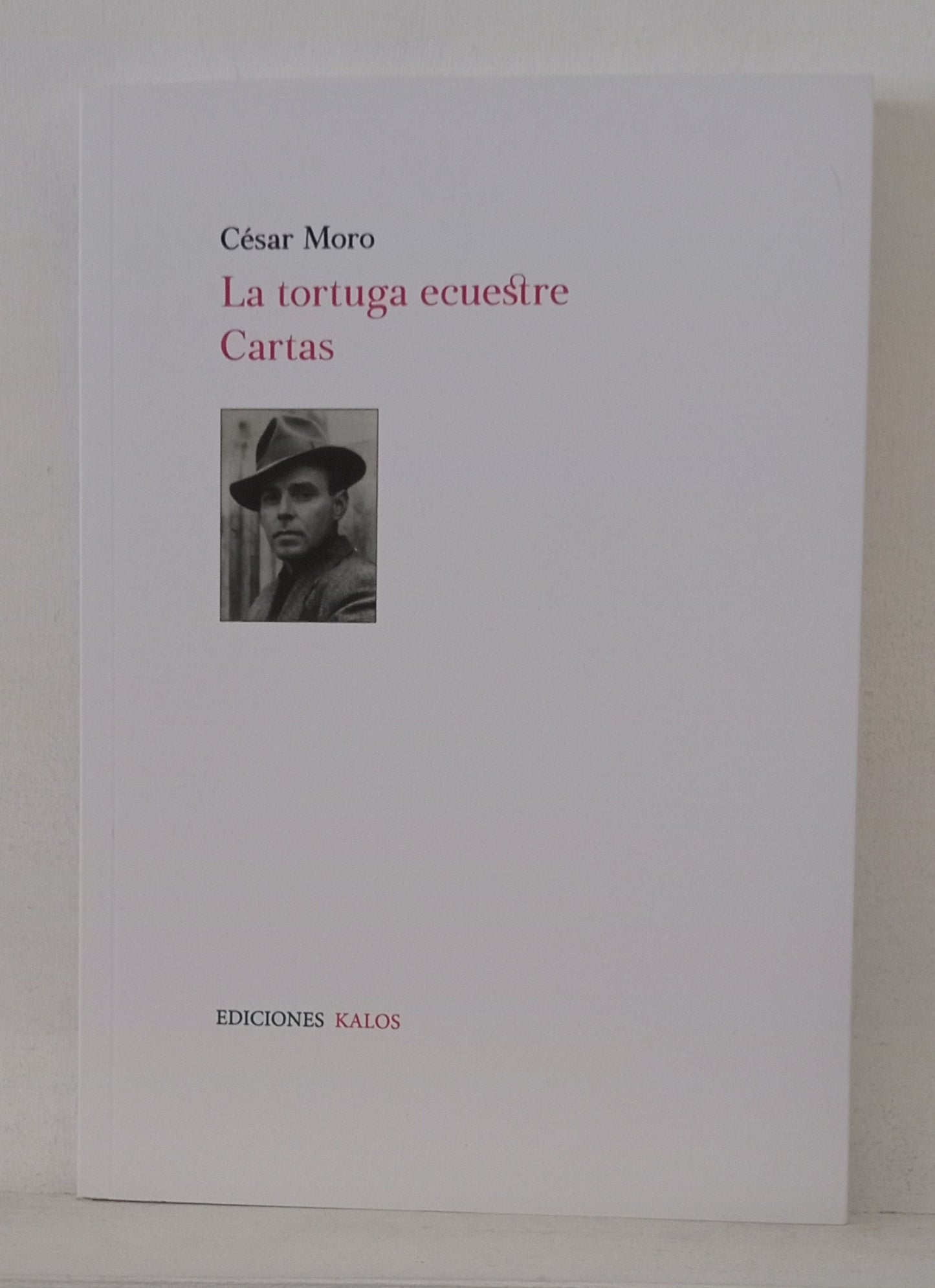 La tortuga ecuestre. Cartas