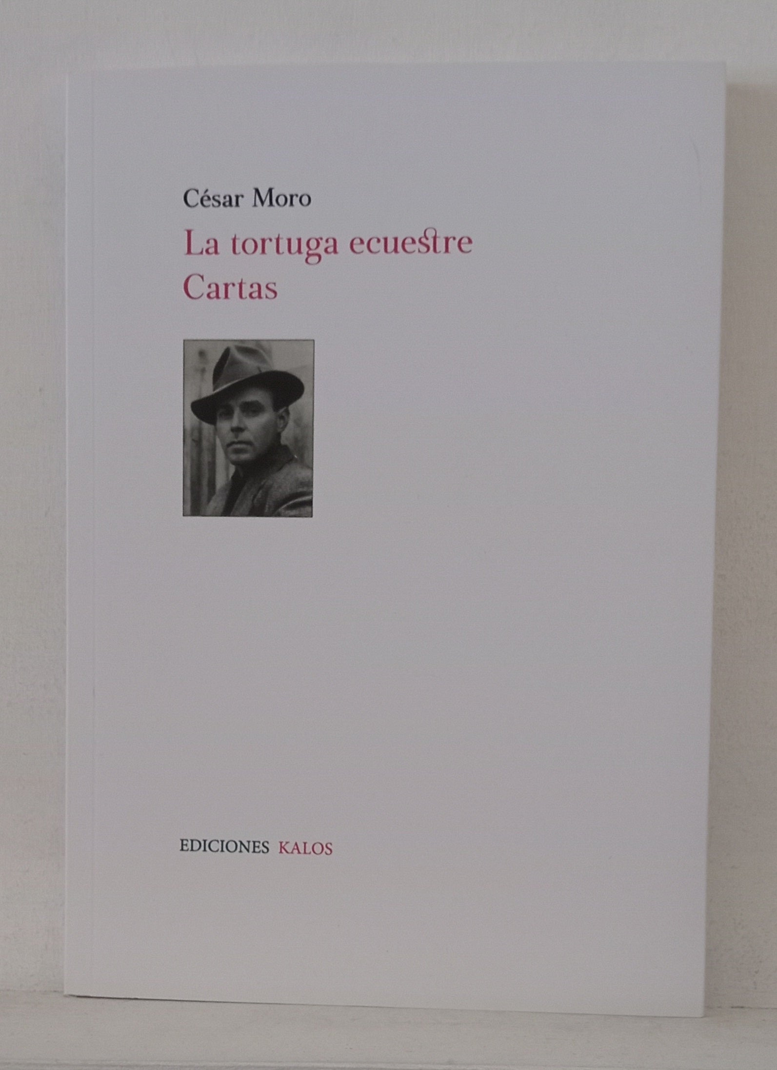 La tortuga ecuestre. Cartas