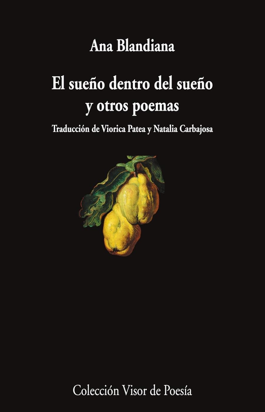 Sueño dentro del sueño y otros poemas -  - Visor Libros