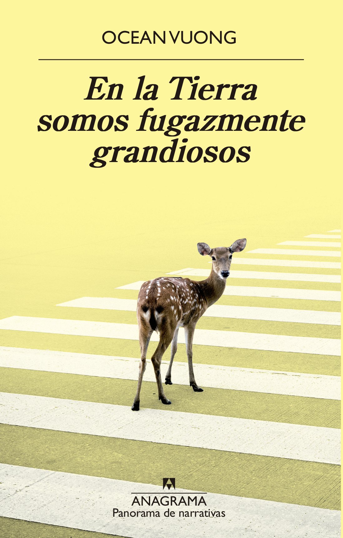 EN LA TIERRA SOMOS FUGAZMENTE GRANDIOSOS - VUONG, OCEAN