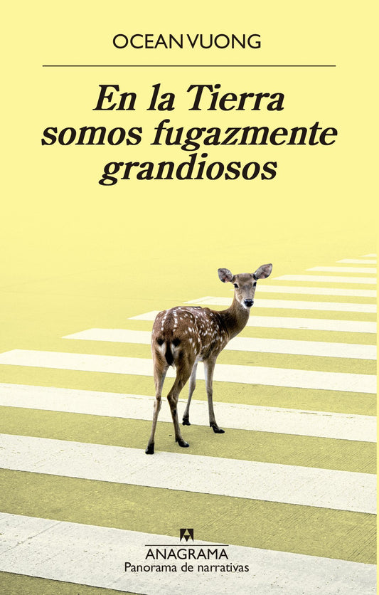 EN LA TIERRA SOMOS FUGAZMENTE GRANDIOSOS - VUONG, OCEAN