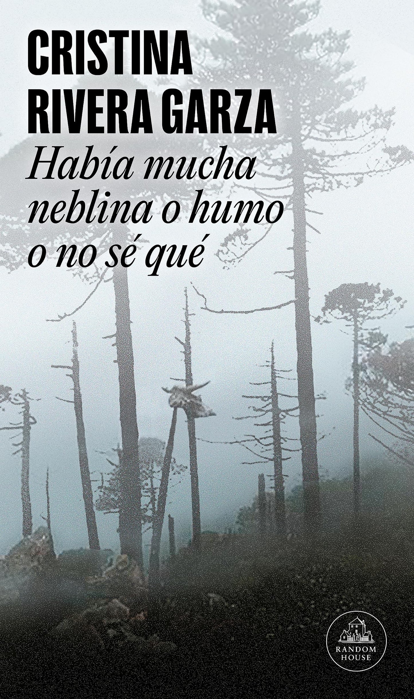 HABIA MUCHA NEBLINA O HUMO O NO SE QUE