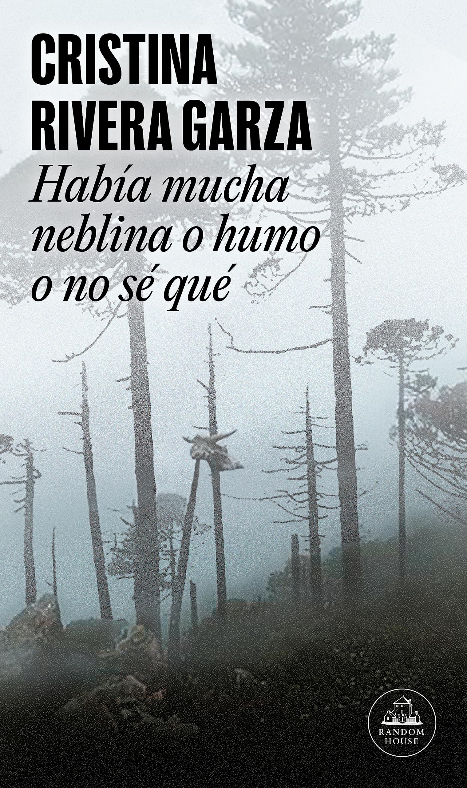 HABIA MUCHA NEBLINA O HUMO O NO SE QUE