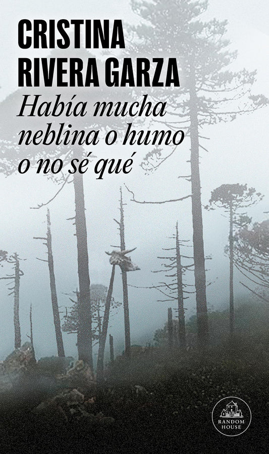HABIA MUCHA NEBLINA O HUMO O NO SE QUE
