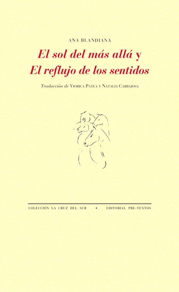 El sol del más allá  - ANA BLANDIANA - PRETEXTOS EDITORIAL