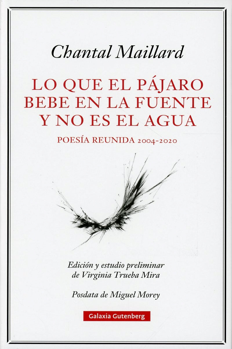 Lo que el pájaro bebe en la fuente y no es el agua - Chantal Maillard - GALAXIA GUTENBERG