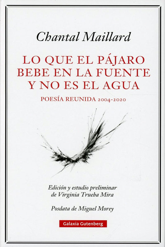 Lo que el pájaro bebe en la fuente y no es el agua - Chantal Maillard - GALAXIA GUTENBERG