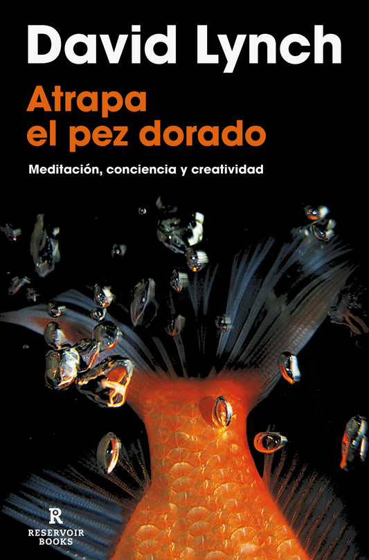 Atrapa El Pez Dorado (Tb) - David Lynch - RESERVOIR BOOKS