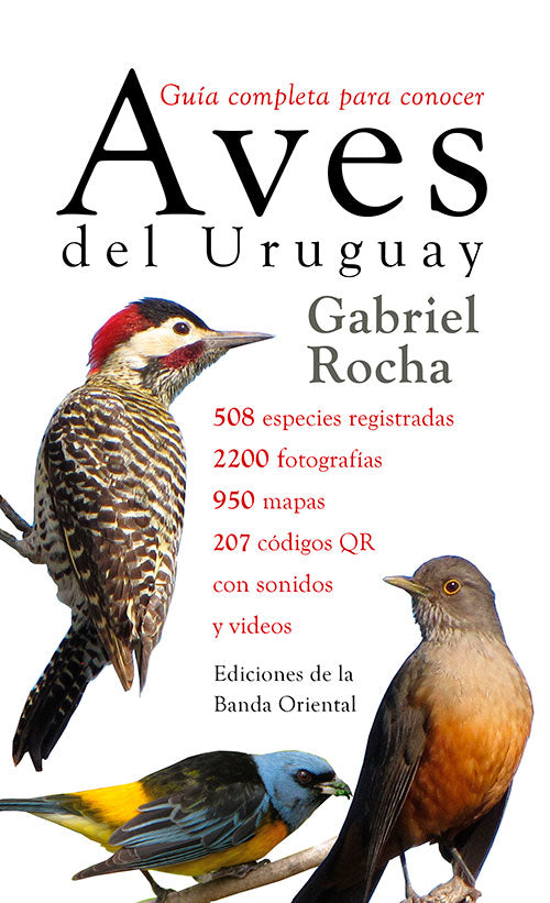 El nacionalsocialismo y la antiguedad -  - ABADA EDITORES