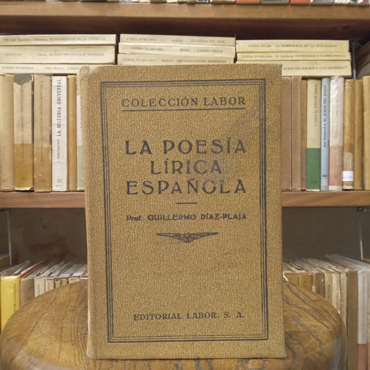 La poesía lírica española