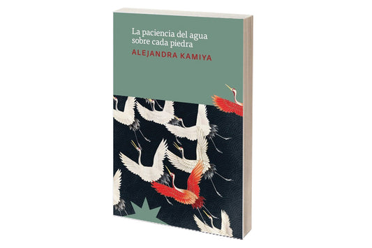 La paciencia del agua sobre cada piedra - ALEJANDRA KAMIYA - ETERNA CADENCIA