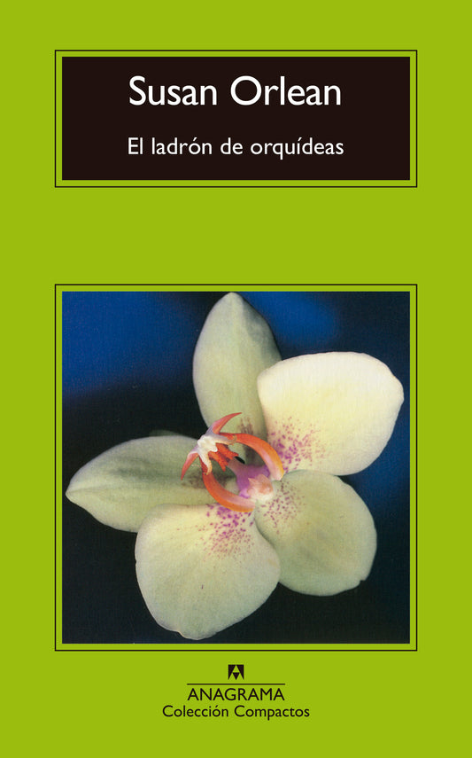 LADRON DE ORQUIDEAS, EL