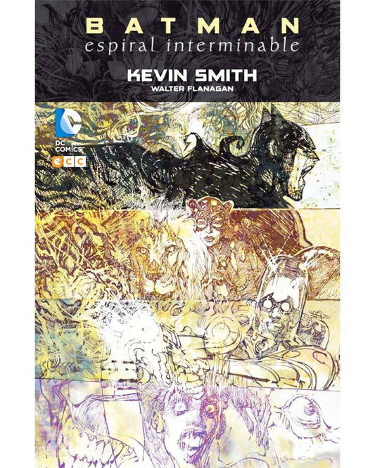 BATMAN - ESPIRAL INTERMINABLE - SMITH, KEVIN / FLANAGAN, WALTER