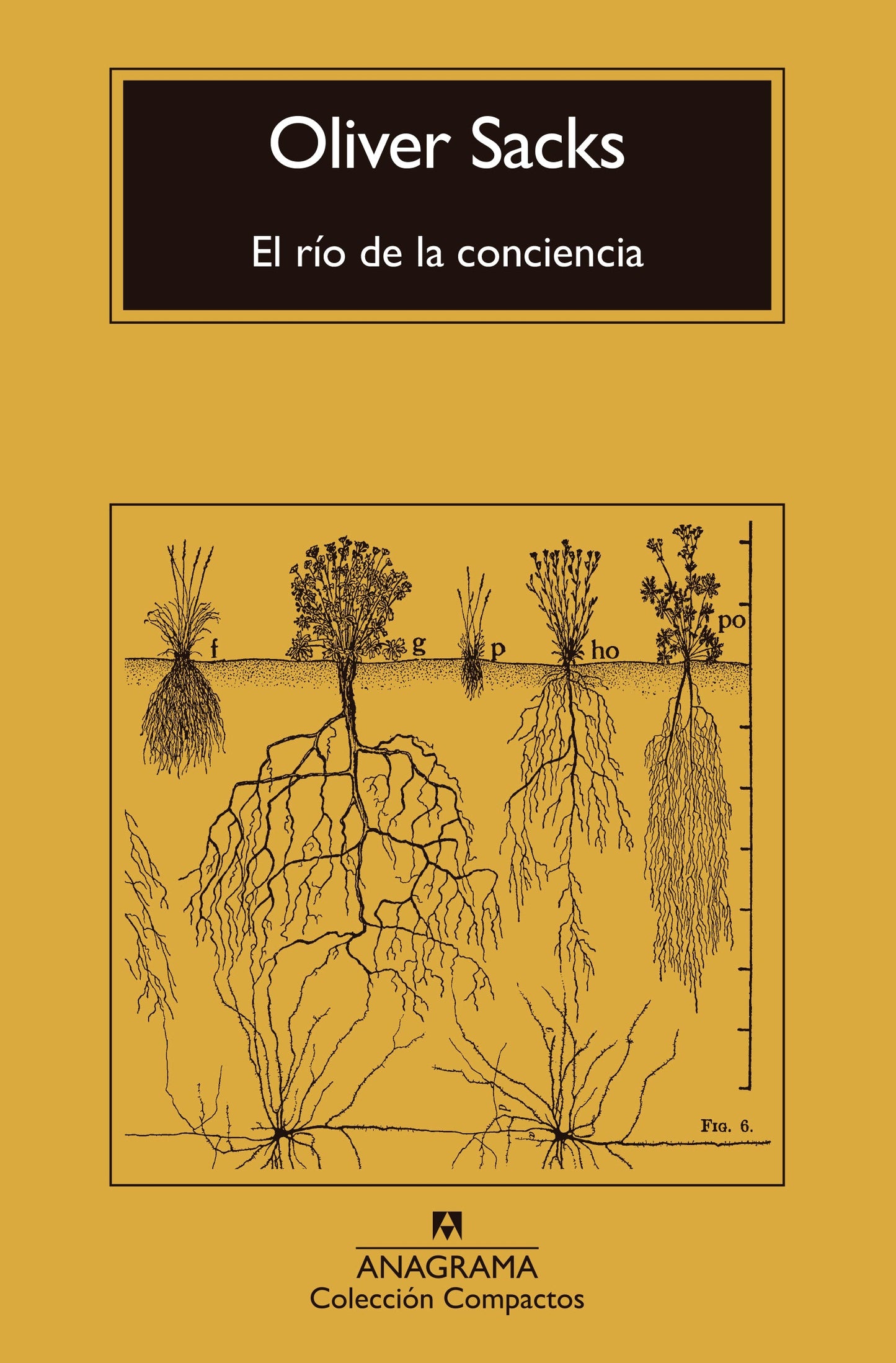RIO DE LA CONCIENCIA, EL