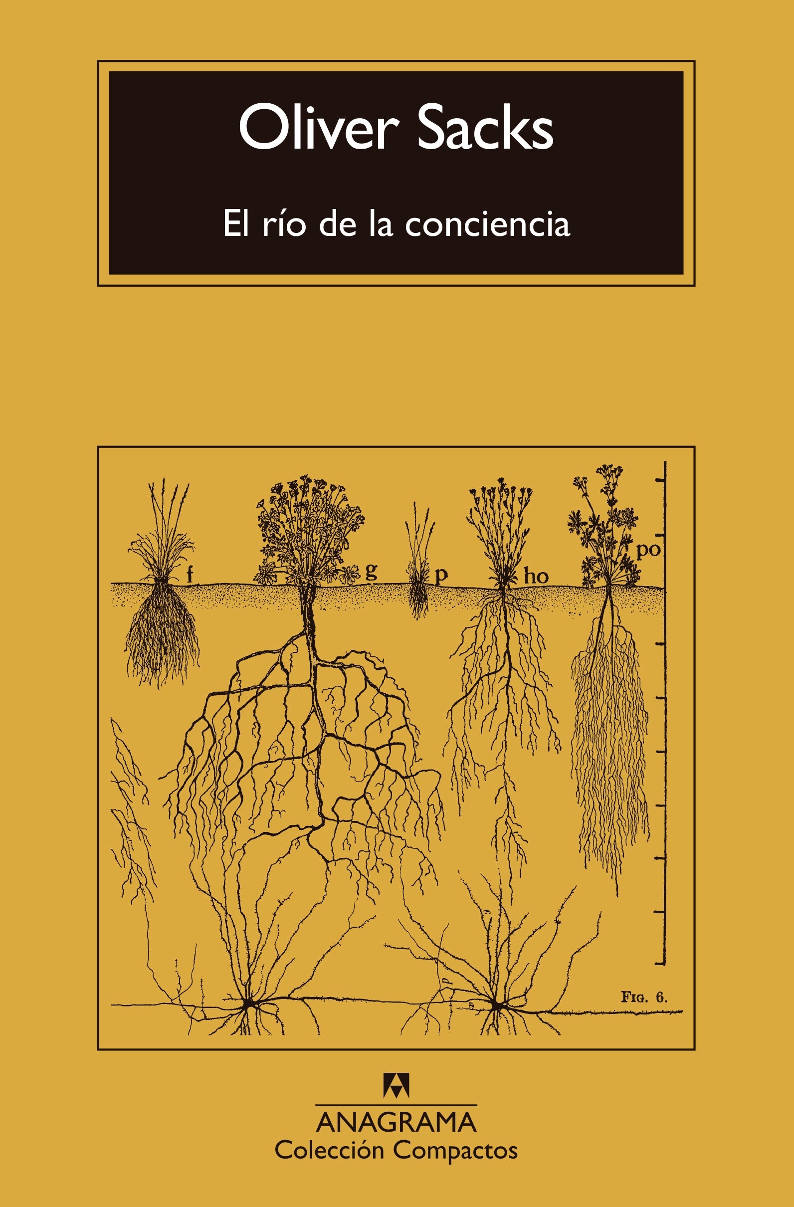 RIO DE LA CONCIENCIA, EL