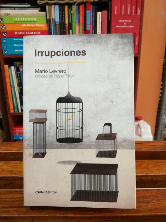 IRRUPCIONES