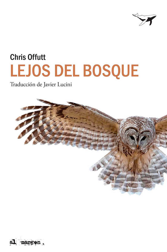 PAN PARA LOS MUERTOS. HISTORIAS DEL GUETO DE VARSOVIA - WOJDOWSKI, BOGDAN - CONFLUENCIAS