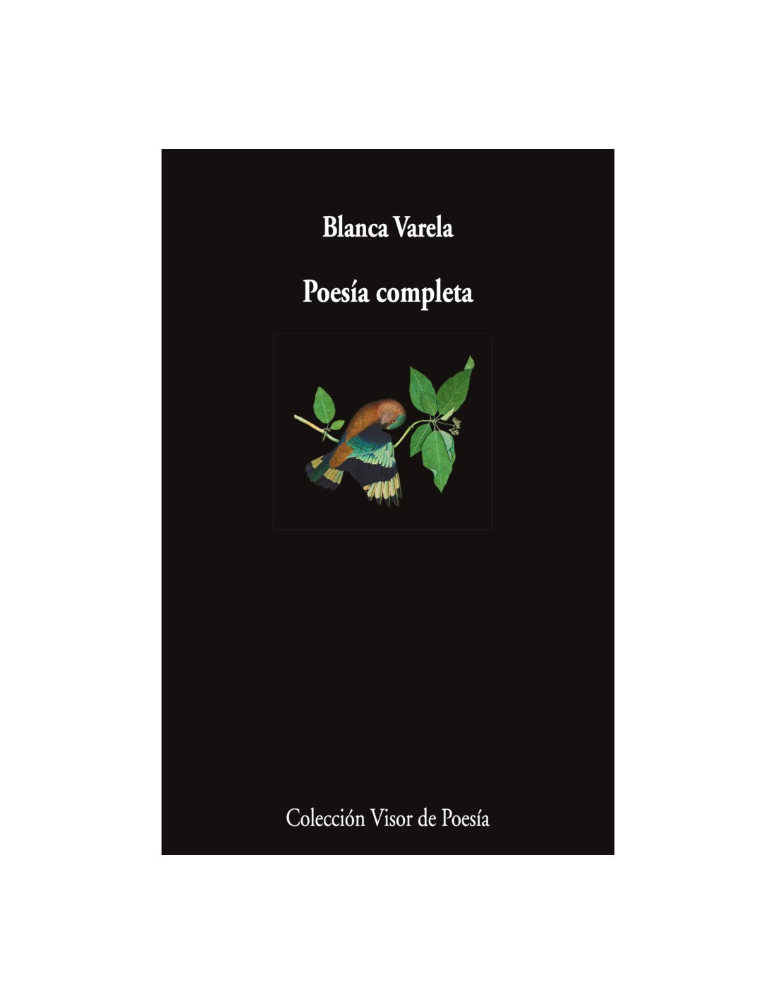 Poesía completa - Blanca Varela -  - Visor Libros