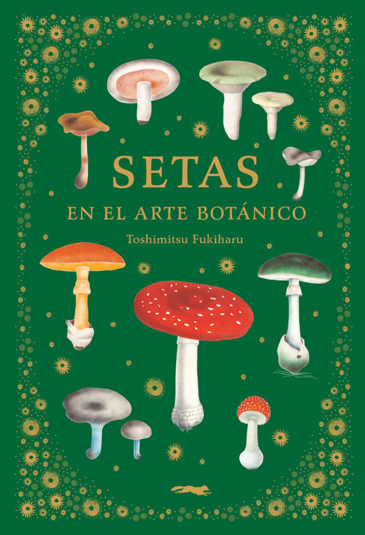 SETAS EN EL ARTE BOTÁNICO