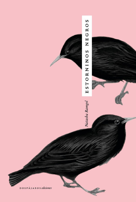 La torre de amor -  - Forastera