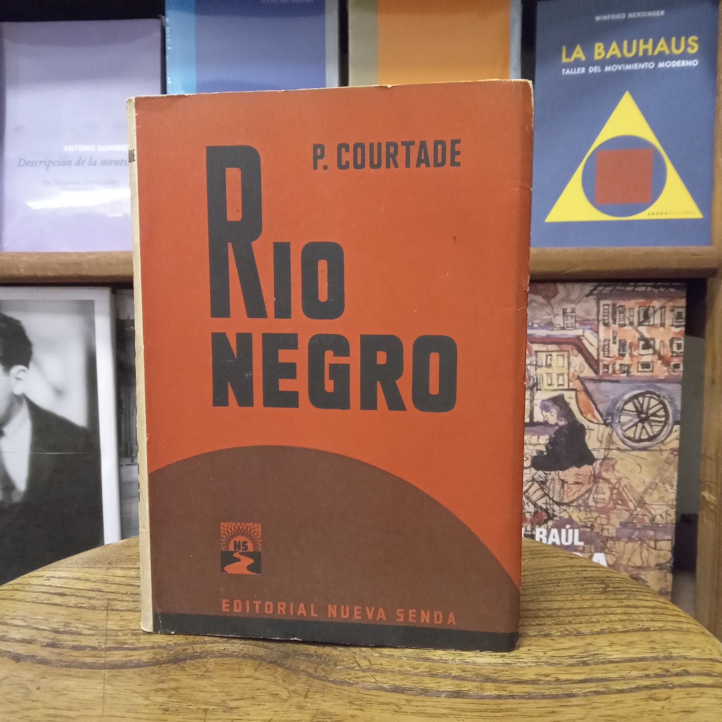 Río Negro