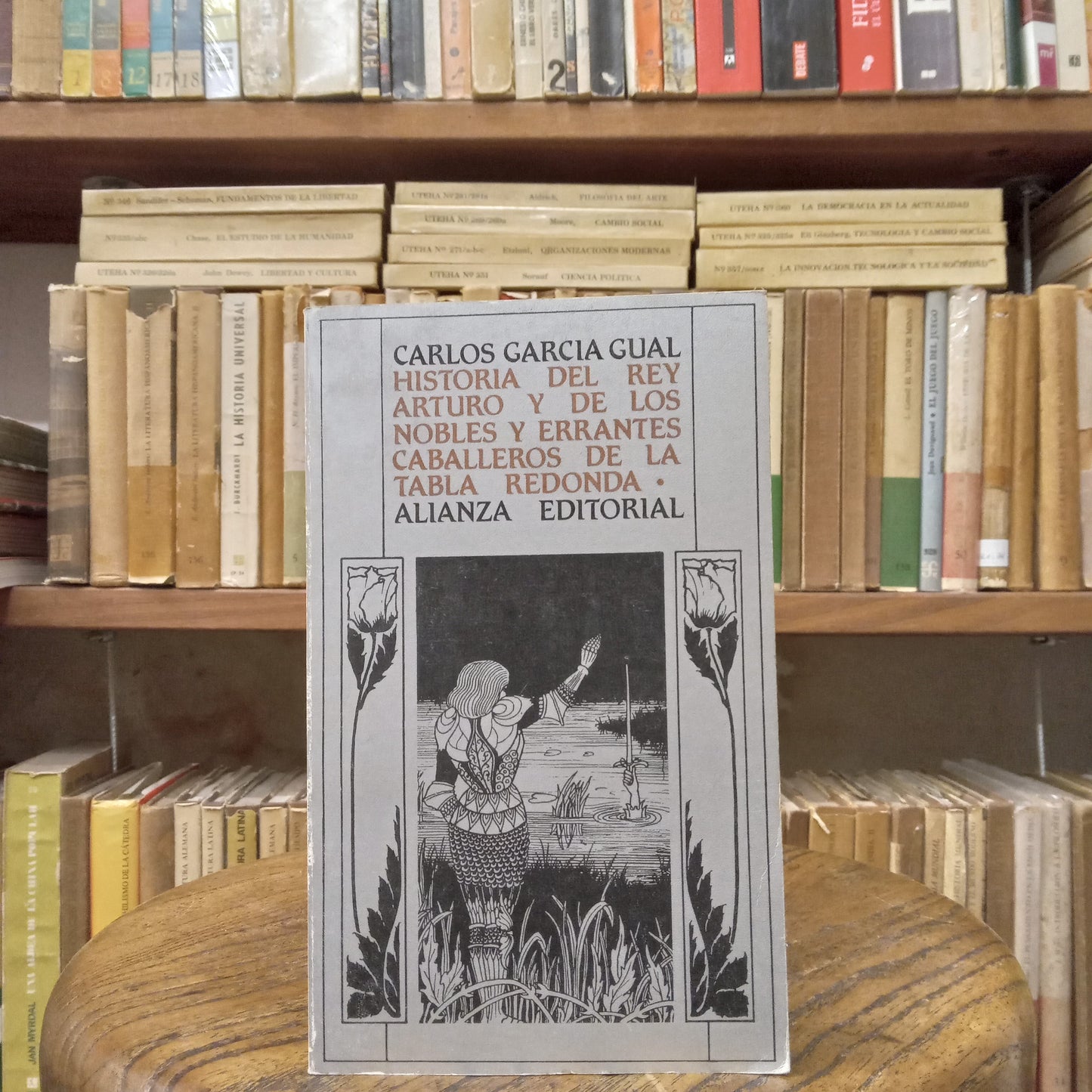 Historia del rey  Arturo y de los nobles y errantes caballeros de la Tabla Redonda